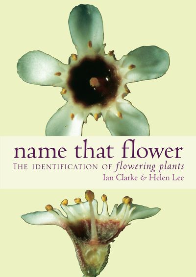 Name that Flower: The Identification of Flowering Plants: 2nd Edition