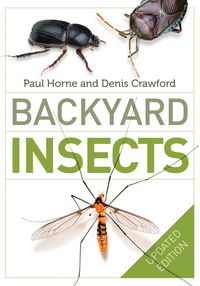 Backyard Insects Updated Edition